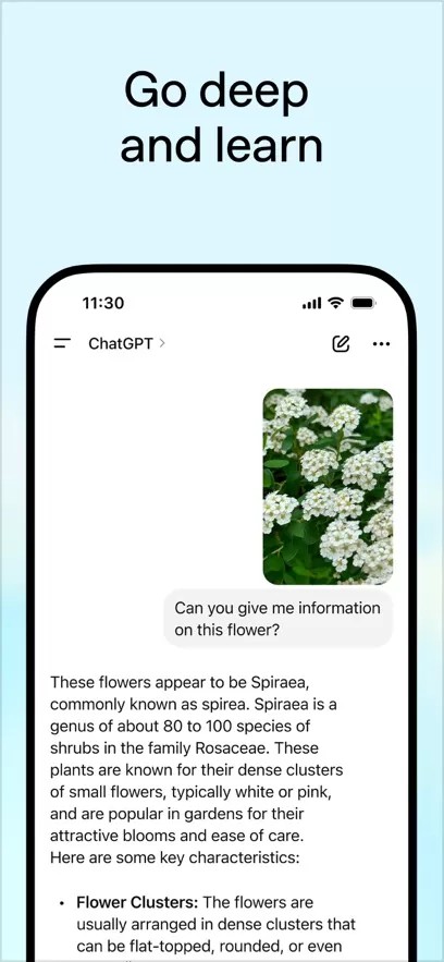 ChatGPT截图