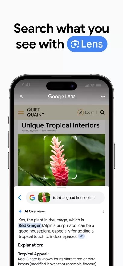 Google Chrome截图