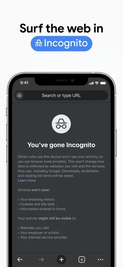 Google Chrome截图