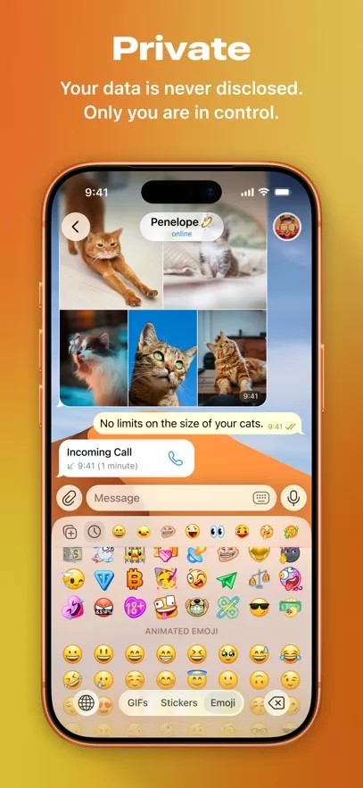 Telegram截图